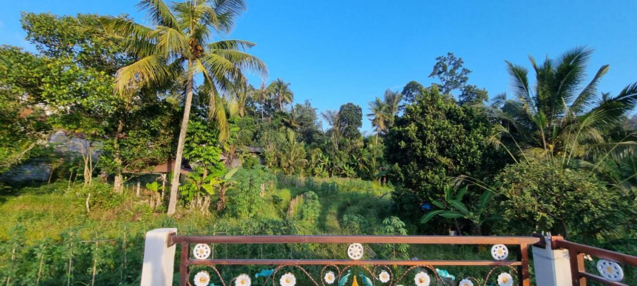 Sri Sedana Homestay Sidemen  Exterior foto